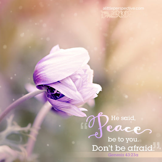 Be Still...