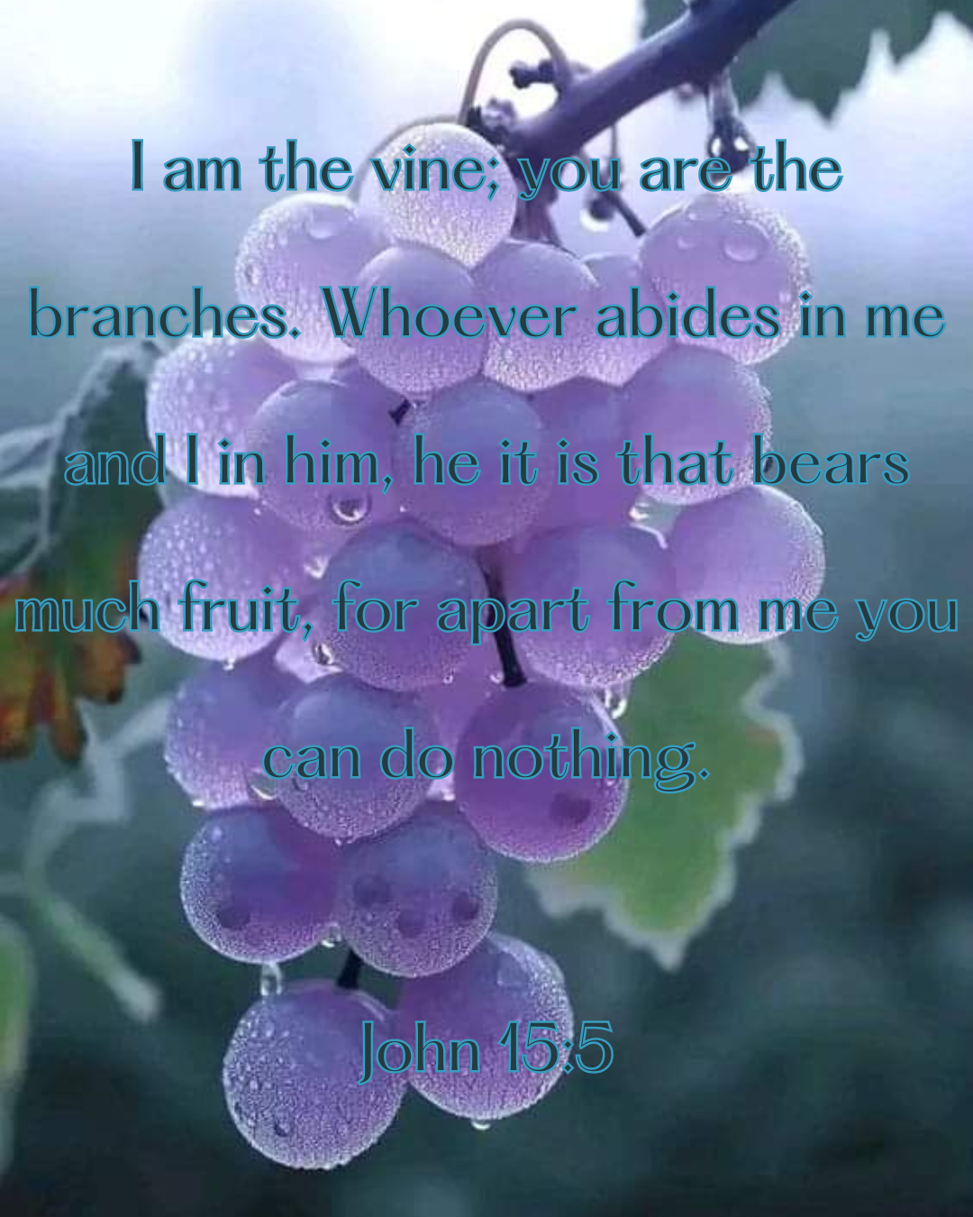 Spring Collection: Lavendar fields