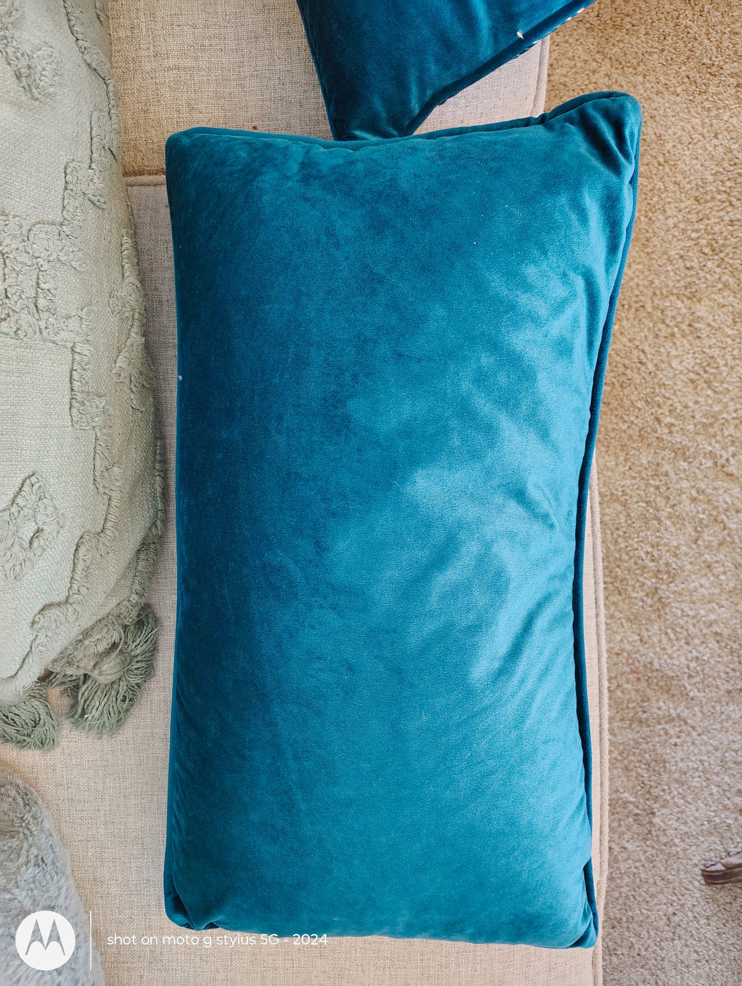 “Planted by Living Waters” – Psalm 1:3 Pillow | Embroidered Velvet Throw | Sanctuary by Set-Apart Selections™